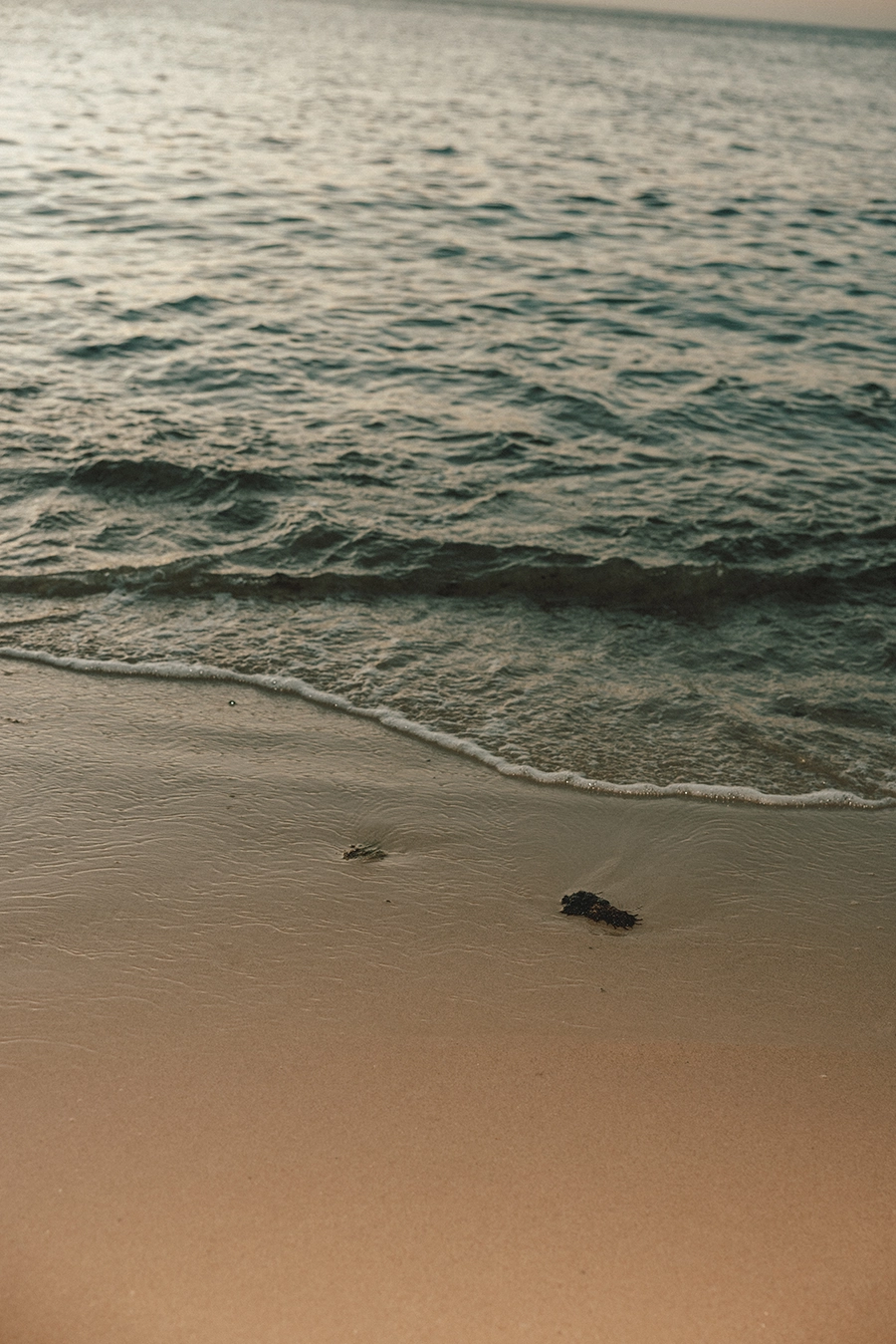 The Soul Of The Ocean